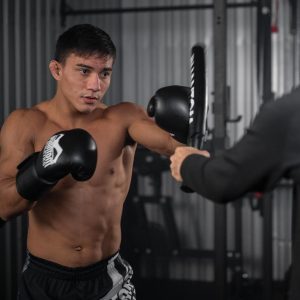 Палиці для боксу (лападани тренерські) Phantom Boxing Sticks - Зображення 7