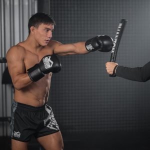 Палиці для боксу (лападани тренерські) Phantom Boxing Sticks - Зображення 5
