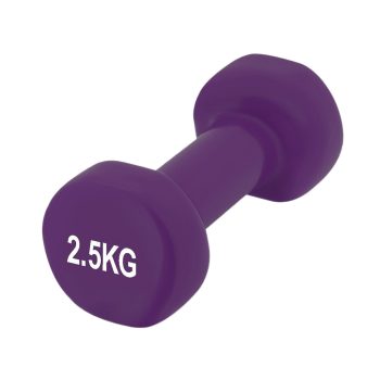 Гантелі PowerPlay 2,5 кг