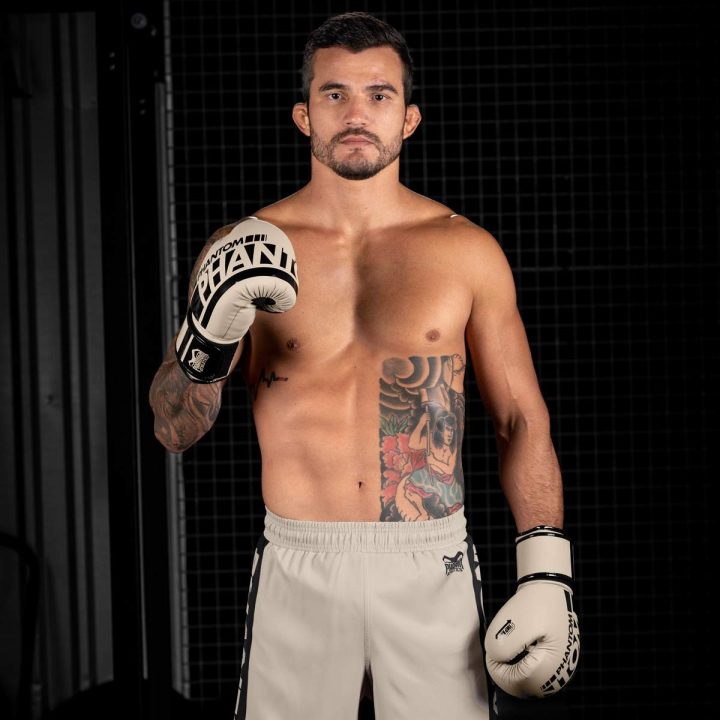 Боксерські рукавиці Phantom APEX Sand 14 унцій (капа в подарунок) - Зображення 10