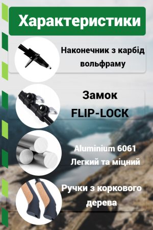 Палиці для скандинавської ходьби PowerPlay 9108 Sisu Black/Gold 80-135 см (пара) + 2-ві пари чобітків + чохол - Зображення 9