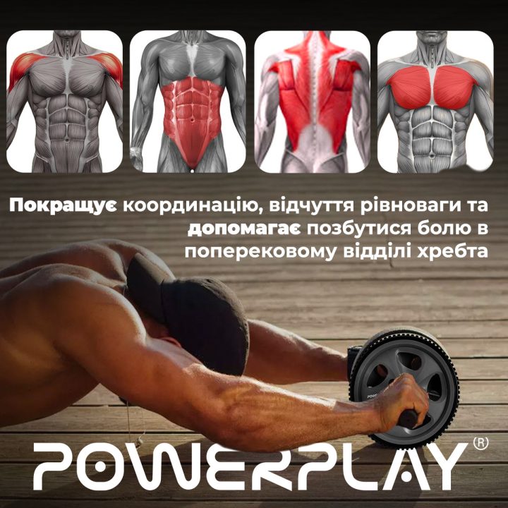 Колесо для преса PowerPlay PP-4345 Exercise Wheel (d16.5cm.) Сіре - Зображення 10