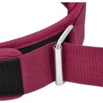 Пояс для важкої атлетики RDX RX5 Double Belt неопреновий Pink S - Зображення 5