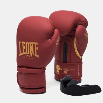Боксерські рукавички Leone GN059