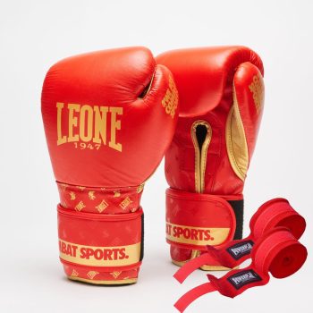 Боксерські рукавиці Leone DNA GN220