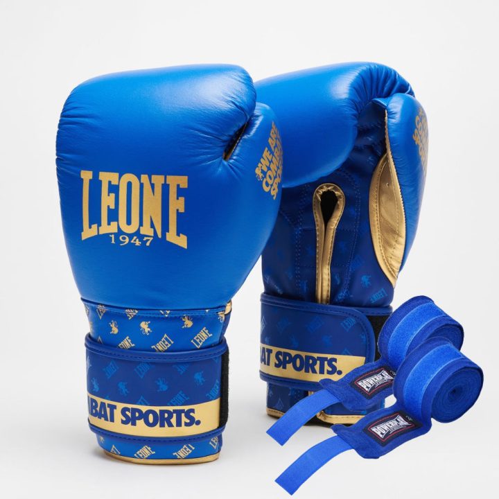 Боксерські рукавиці Leone DNA GN220