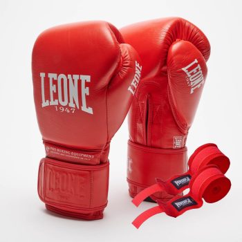 Боксерські рукавиці Leone GN111